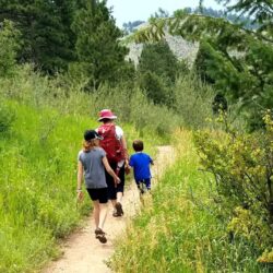 Untitled design (49)